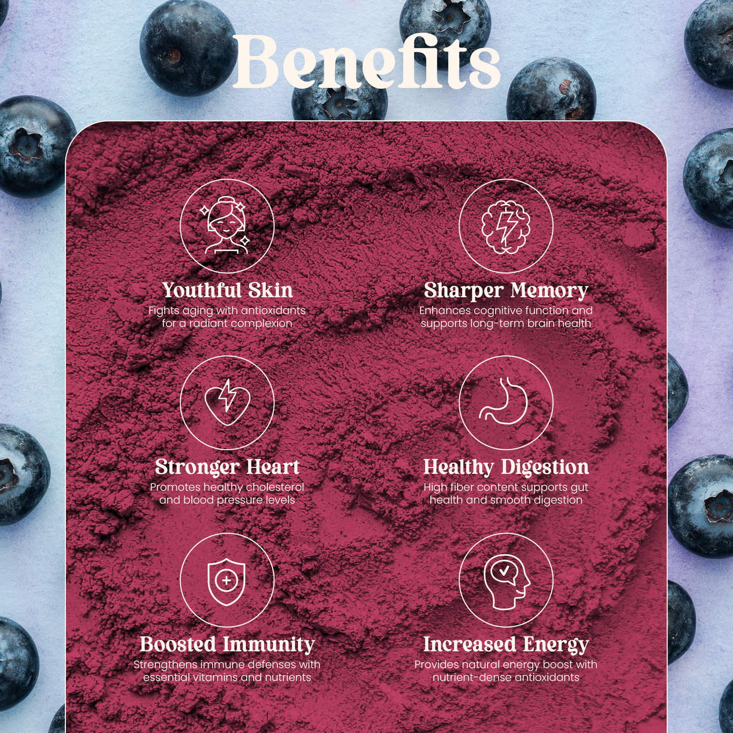 100g Organic Wild Freeze-Dried Blueberry Powder